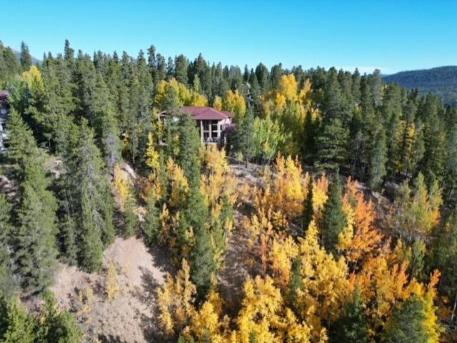 Lookout On Christie Lane Home Breckenridge Buitenkant foto